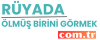 ruyadaolmusbirinigormek.com.tr